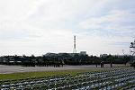 Dcim12618/DSC_9223