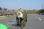 Dcim12618/DSC_9305