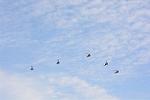 Dcim12624/DSC_0122