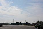 Dcim12633/DSC_1477