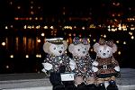Dcim12655/DSC_4732