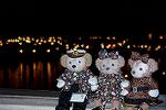 Dcim12655/DSC_4738