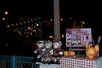 Dcim12655/DSC_4745