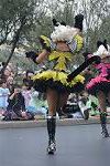 Dcim12660/DSC_5259
