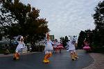 Dcim12663/DSC_5684