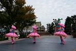 Dcim12663/DSC_5690