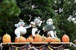 Dcim12666/DSC_6156