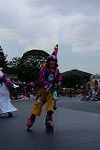 Dcim12666/DSC_6232