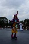 Dcim12666/DSC_6234