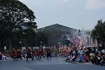 Dcim12667/DSC_6250