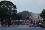 Dcim12667/DSC_6252
