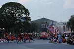 Dcim12667/DSC_6254