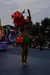 Dcim12667/DSC_6381