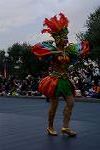 Dcim12667/DSC_6392