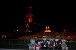 Dcim12669/DSC_6561