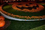 Dcim12678/DSC_8046
