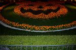 Dcim12678/DSC_8050