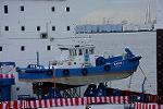 Dcim12679/DSC_8217