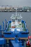 Dcim12679/DSC_8233