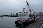 Dcim12679/DSC_8253