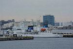 Dcim12680/DSC_8293