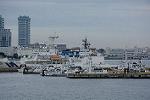 Dcim12680/DSC_8303