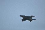 Dcim12682/DSC_8461