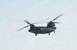 Dcim12682/DSC_8496