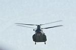 Dcim12682/DSC_8506