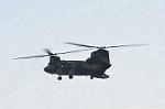 Dcim12682/DSC_8515