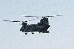 Dcim12682/DSC_8517