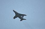 Dcim12682/DSC_8603