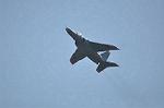 Dcim12682/DSC_8604