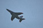 Dcim12682/DSC_8606