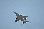 Dcim12682/DSC_8611