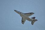 Dcim12682/DSC_8614