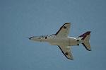 Dcim12683/DSC_8616