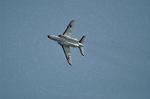 Dcim12683/DSC_8625