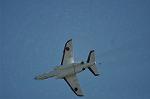 Dcim12683/DSC_8632