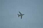 Dcim12683/DSC_8637