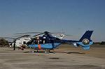 Dcim12683/DSC_8753