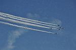 Dcim12685/DSC_8992