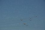 Dcim12685/DSC_9091