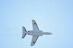 Dcim12687/DSC_8719