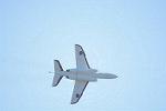 Dcim12687/DSC_8720