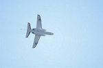 Dcim12687/DSC_8723