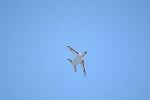 Dcim12687/DSC_8781