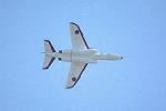 Dcim12687/DSC_8790