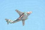 Dcim12688/DSC_9097