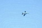 Dcim12689/DSC_9402